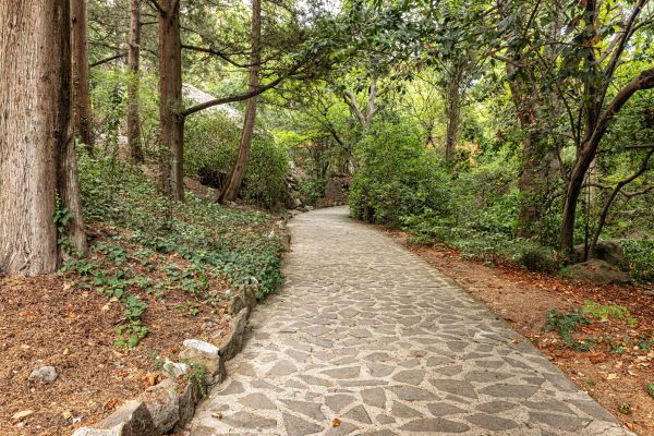 Stone Walkway Repair in Saint Johns