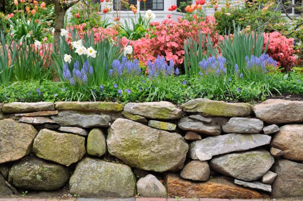 Stone Wall Hardscaping in Saint Johns