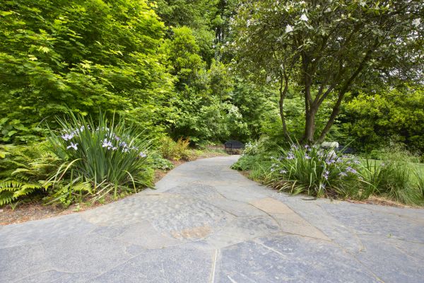 Stone Hardscape Service in Saint Johns